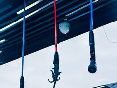 -跃通XPEL隐形车衣汽车贴膜旗舰店