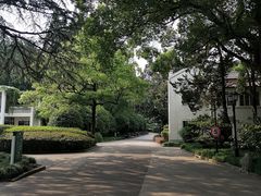 -上海虹桥迎宾馆