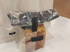 -BLACKSWAN黑天鹅(环球店)