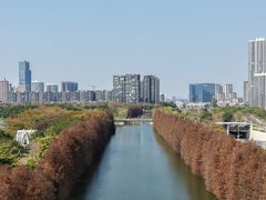 -顺峰山公园