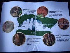 -怀托摩萤火虫洞