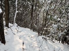 -安吉龙王山风景区