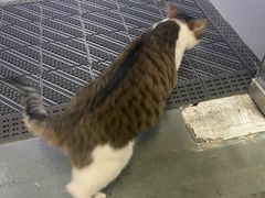 -蓝天射箭馆·专业射箭运动(诚丰广场店)