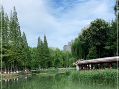 -温江公园