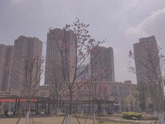 -府河摄影公园