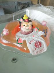 -大美母婴月子专护中心(紫峰店)