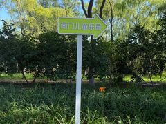 -大兴滨河森林公园