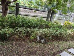 -晓港公园