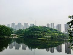 -重庆彩云湖湿地公园