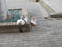 -莲湖公园