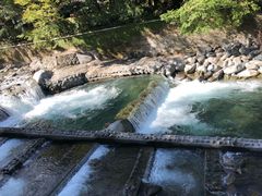 -箱根Pax吉野酒店
