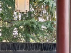 -苏州吴宫泛太平洋酒店