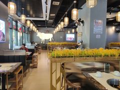 -小肥牛潮汕牛肉火锅(南联店)