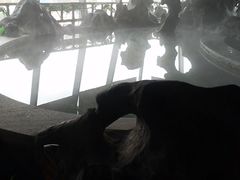 -汤乐汇•足道•SPA生活馆