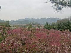 -开元溶洞