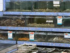 -锐记美食店·现捞海鲜(闸坡店)