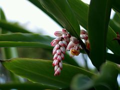 -福建鲤鱼洲酒店