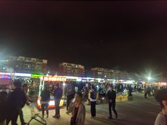 -中国人民武装警察部队特色医学中心