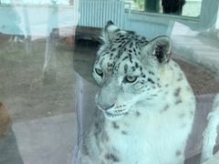 -青藏高原野生动物园