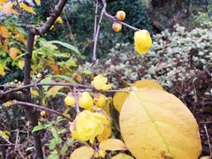 -敬亭山风景名胜区