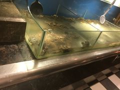 -多伦多海鲜自助餐厅(百盛购物中心三阳店)