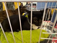 -北京华联购物中心(天通苑店)