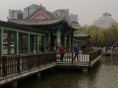 -莲花池公园