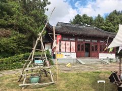 -上海海湾国家森林公园