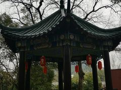 -古琴台