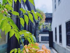 -老门东历史文化街区