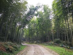 -黄公望隐居地