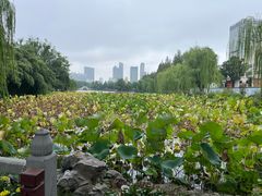 -包公祠