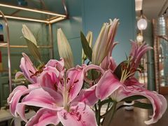 -南堂馆·新川菜(春熙路店)