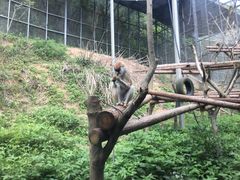 -宁波野生动物园