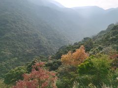 -梧桐山风景名胜区