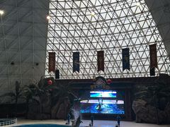 -皇家海洋乐园