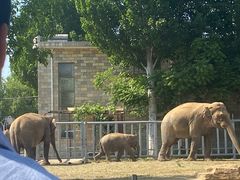 -石家庄市动物园