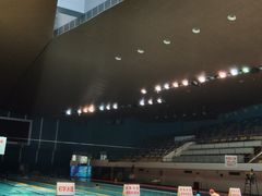 -重庆市奥林匹克体育中心-游泳跳水馆