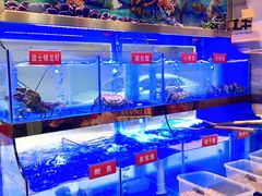 -小龍鳳·港式海鲜打边炉(沙湖路店)