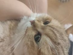 -联合动物医院(光谷诊疗中心)