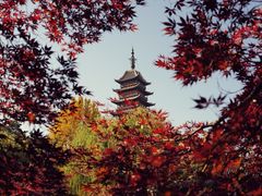 -常熟方塔园