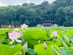 -古田会议纪念馆