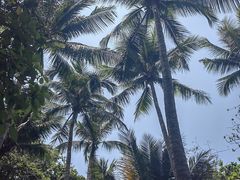 -三亚蜈支洲岛旅游区