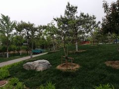-东升文体公园