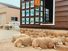 -神户市立六甲山牧场