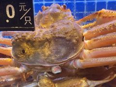 -阿明小菜·海鲜·上海菜(梅陇店)