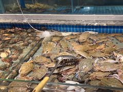 -一方渔歌蒸汽海鲜自助(文化路万达广场店)