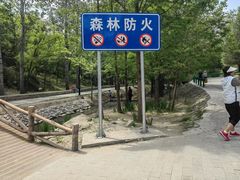 -白水寺森林公园