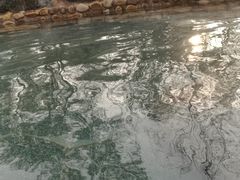 -将军石酒店温泉