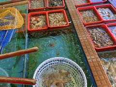 -景好海鲜餐厅(大鹏必选旅游店)